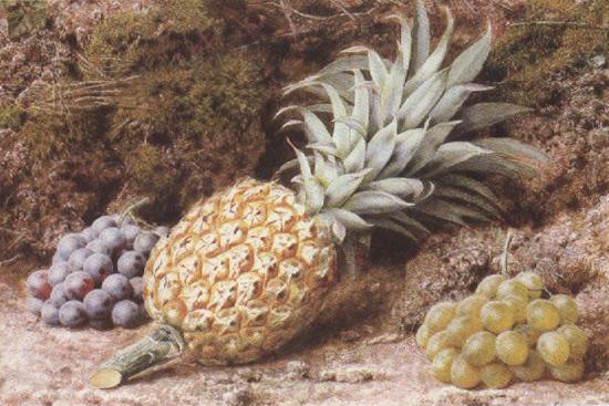 John Sherrin A Pineapple and Grapes on a mossy Bank (mk37) France oil painting art